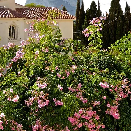 Benavero Boutique Style Within Fenced Tropical Garden Villa *